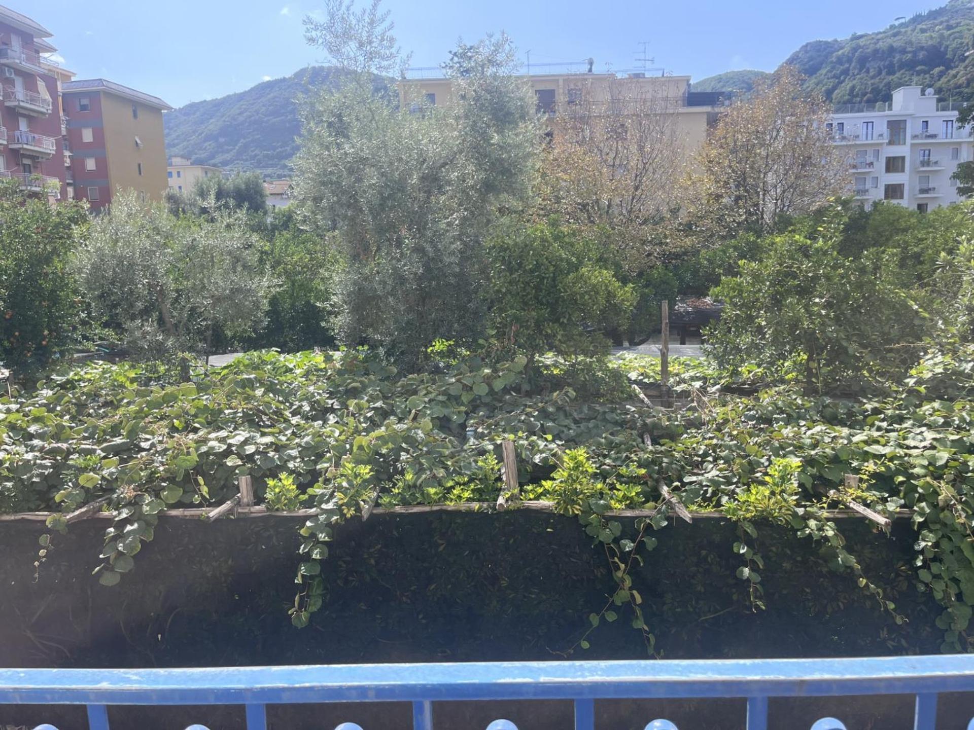 Dream Catcher Sorrento Exterior foto